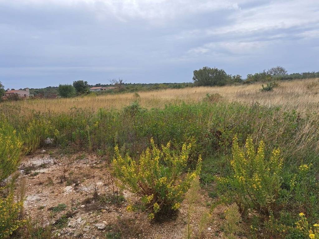 Plot for construction, Sale, Labin, Labin