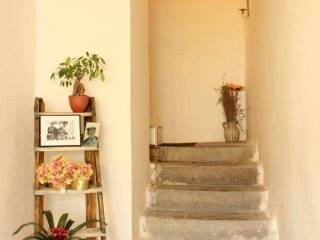 Stone house, Sale, Motovun, Motovun