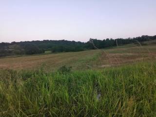 Agricultural plot, Sale, Pazin - Okolica, Trviž