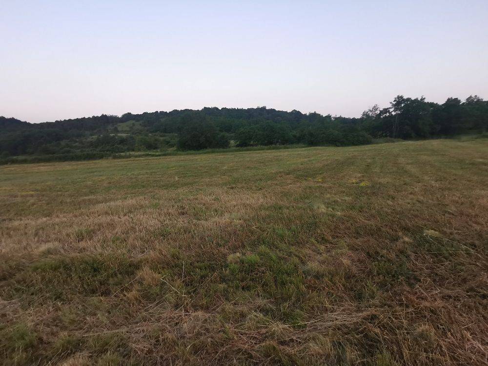 Agricultural plot, Sale, Pazin - Okolica, Trviž