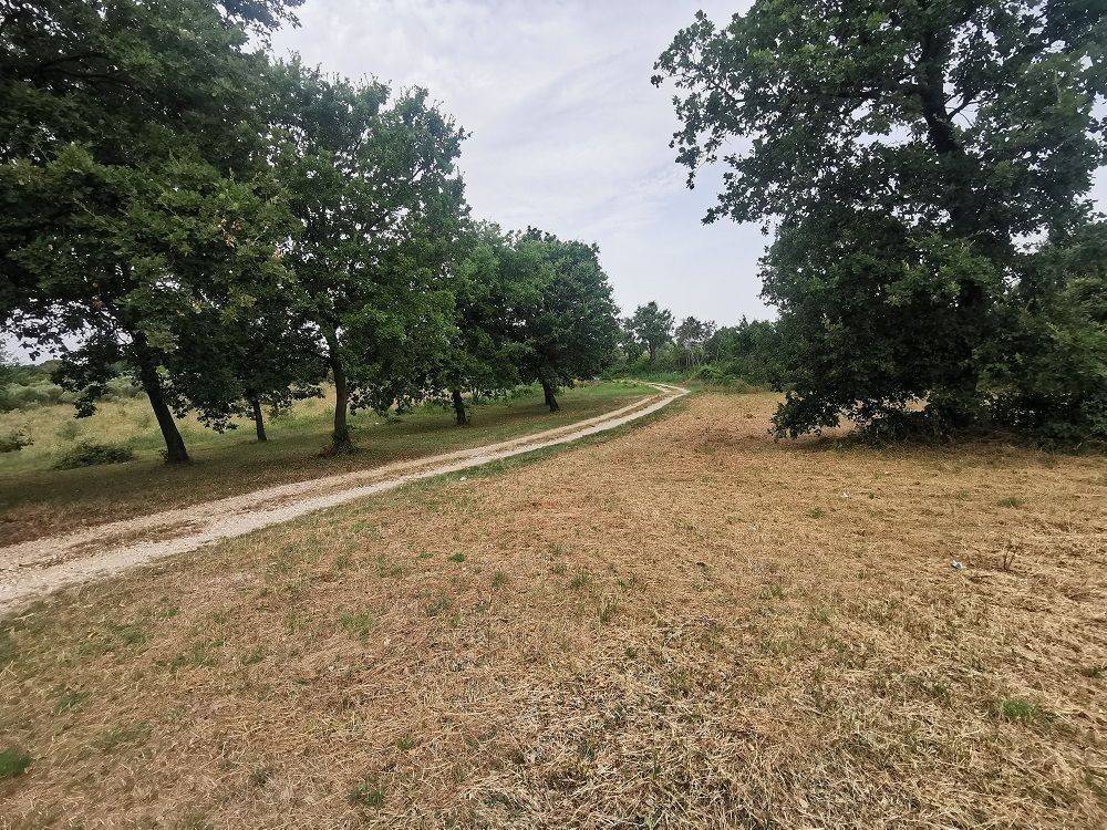 Construction plot for tourism, Sale, Tar-Vabriga, Tar