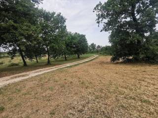 Construction plot for tourism, Sale, Tar-Vabriga, Tar