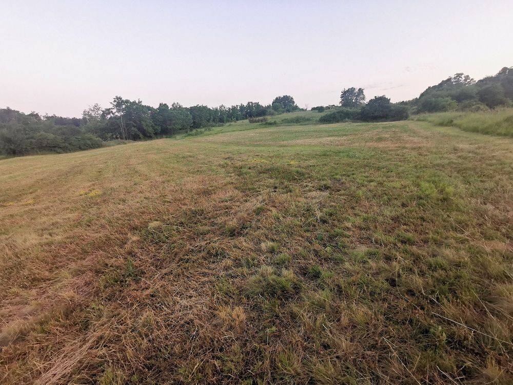 Agricultural plot, Sale, Pazin - Okolica, Trviž