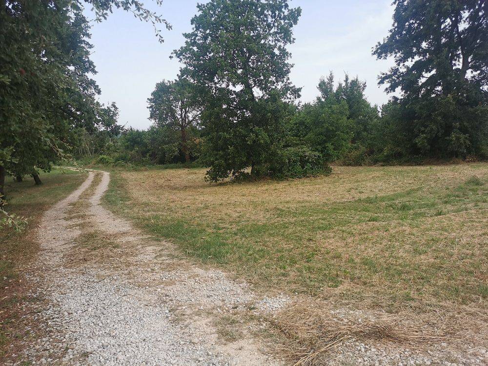 Construction plot for tourism, Sale, Tar-Vabriga, Tar