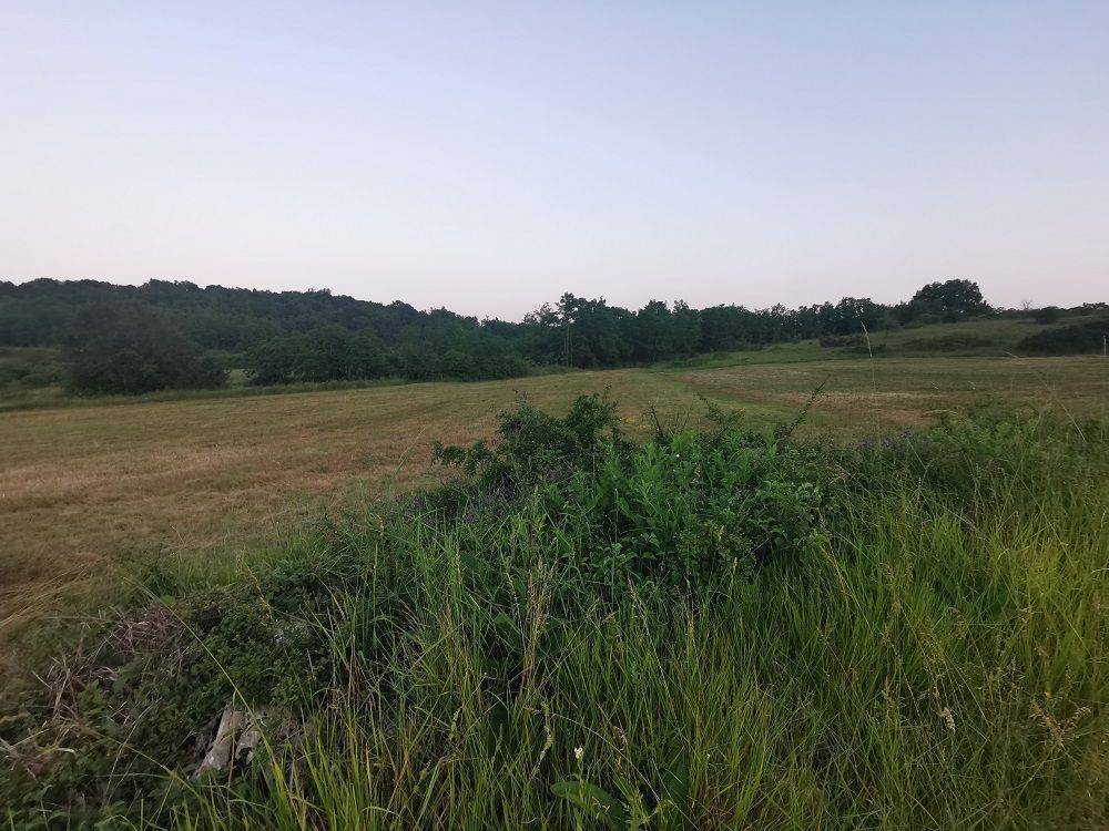 Agricultural plot, Sale, Pazin - Okolica, Trviž