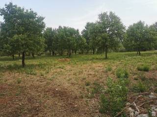 Construction plot for tourism, Sale, Tar-Vabriga, Tar