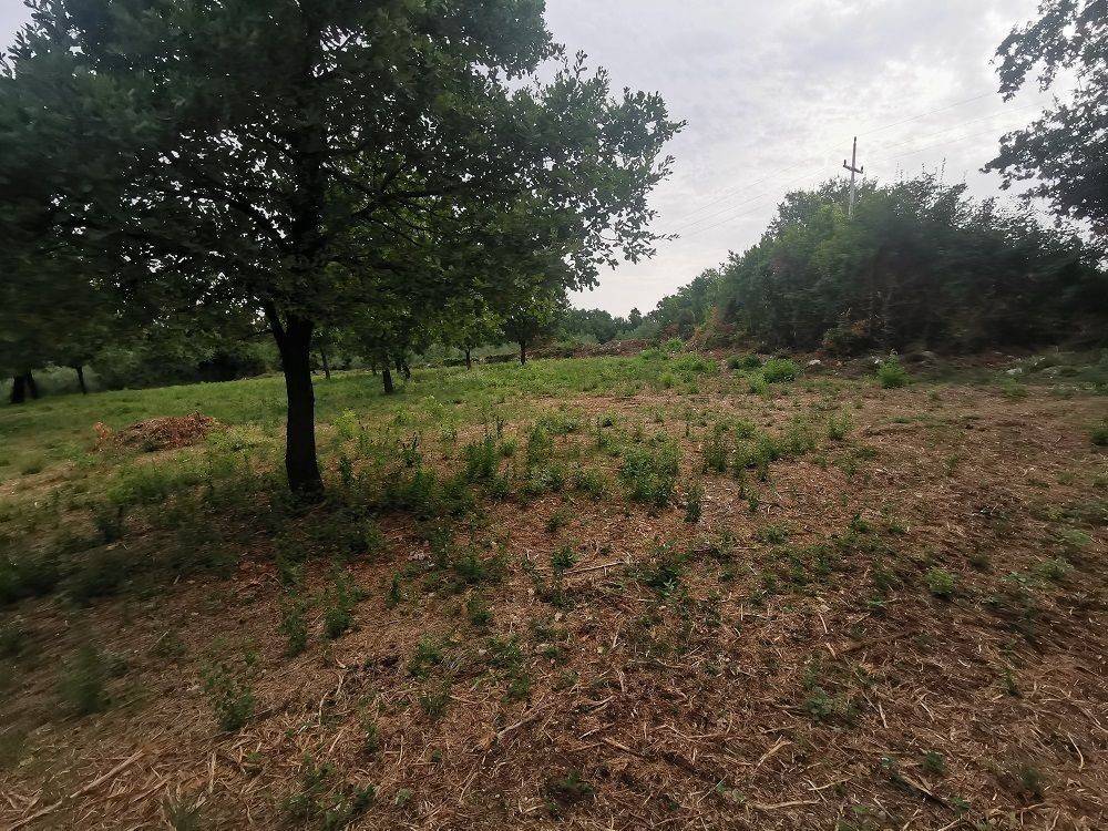 Construction plot for tourism, Sale, Tar-Vabriga, Tar
