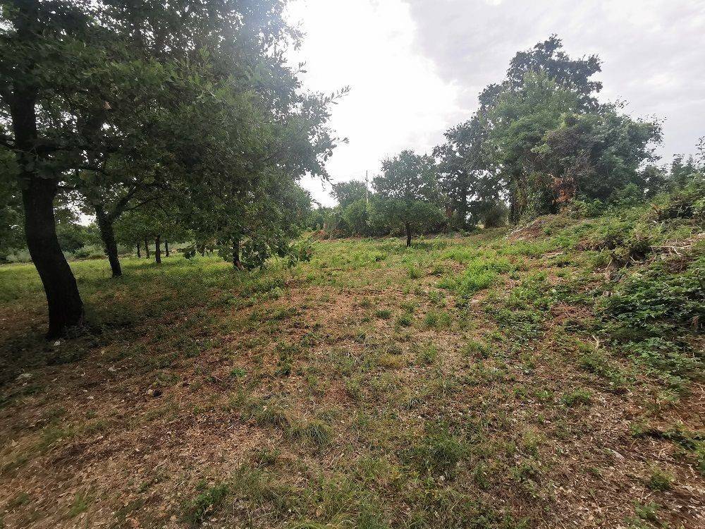 Construction plot for tourism, Sale, Tar-Vabriga, Tar