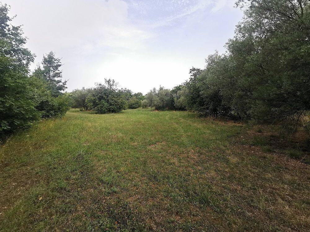 Construction plot for tourism, Sale, Tar-Vabriga, Tar