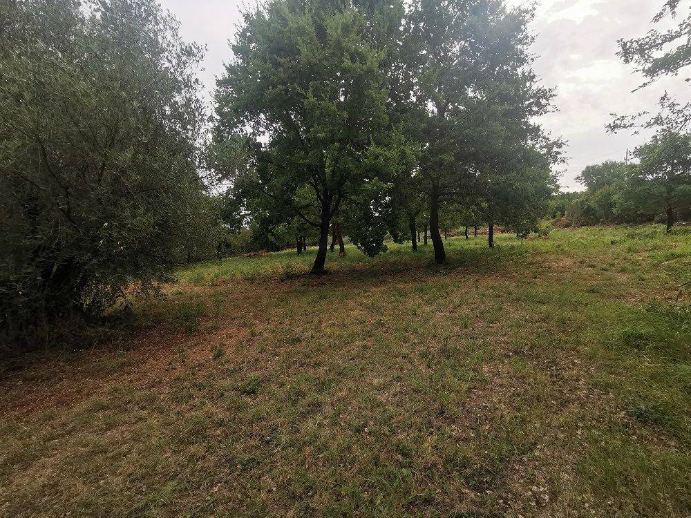 Construction plot for tourism, Sale, Tar-Vabriga, Tar