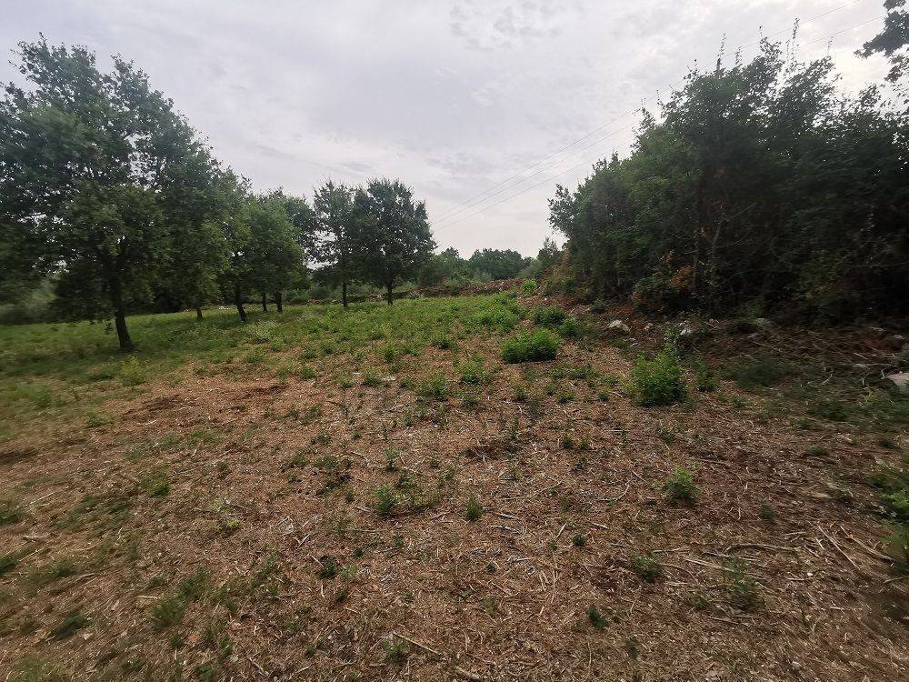 Construction plot for tourism, Sale, Tar-Vabriga, Tar