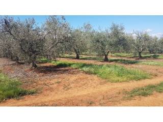 Land, Sale, Tar-Vabriga