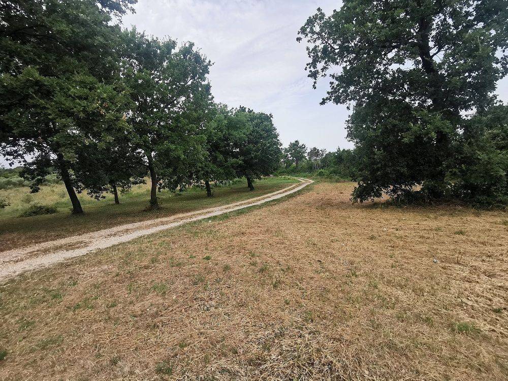Construction plot for tourism, Sale, Tar-Vabriga, Tar