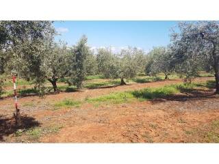 Land, Sale, Tar-Vabriga