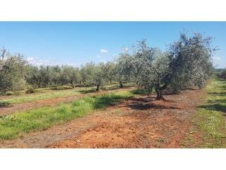 Land, Sale, Tar-Vabriga