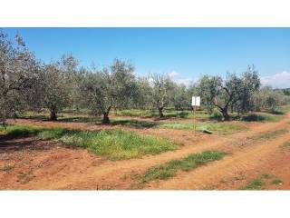 Land, Sale, Tar-Vabriga