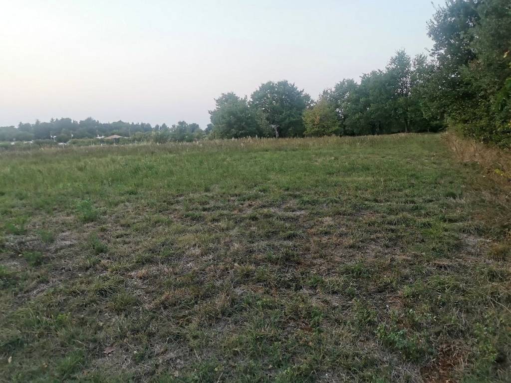 Construction plot for tourism, Sale, Tar-Vabriga, Vabriga