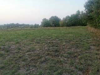 Construction plot for tourism, Sale, Tar-Vabriga, Vabriga