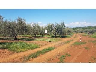 Land, Sale, Tar-Vabriga