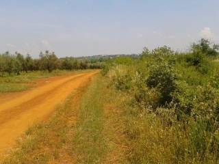 Land, Sale, Tar-Vabriga
