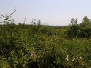 Land, Sale, Tar-Vabriga
