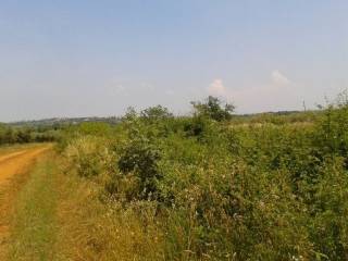 Land, Sale, Tar-Vabriga
