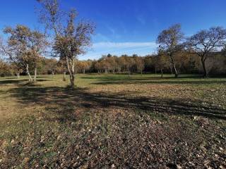 Agricultural plot, Sale, Tar-Vabriga, Tar