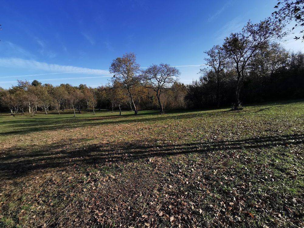 Agricultural plot, Sale, Tar-Vabriga, Tar