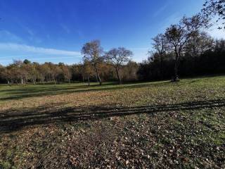Agricultural plot, Sale, Tar-Vabriga, Tar