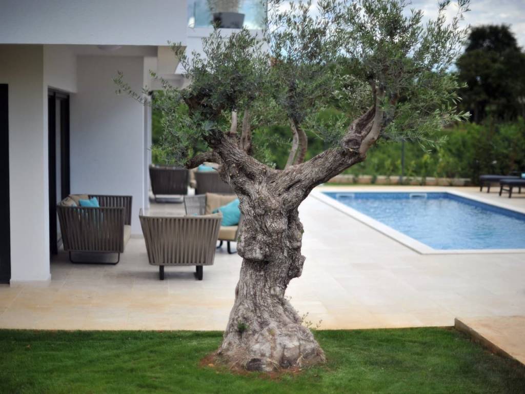 Villa, Sale, Poreč, Poreč