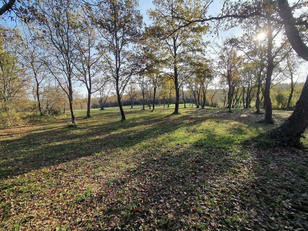 Agricultural plot, Sale, Tar-Vabriga, Tar