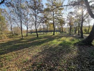 Agricultural plot, Sale, Tar-Vabriga, Tar