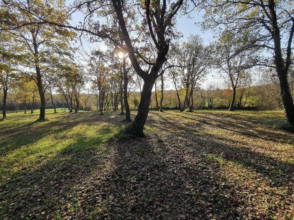 Agricultural plot, Sale, Tar-Vabriga, Tar