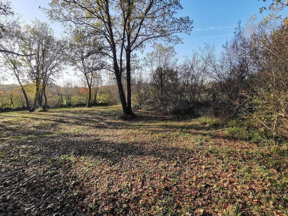 Agricultural plot, Sale, Tar-Vabriga, Tar