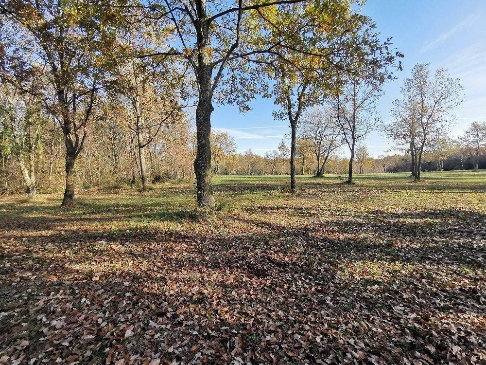 Agricultural plot, Sale, Tar-Vabriga, Tar