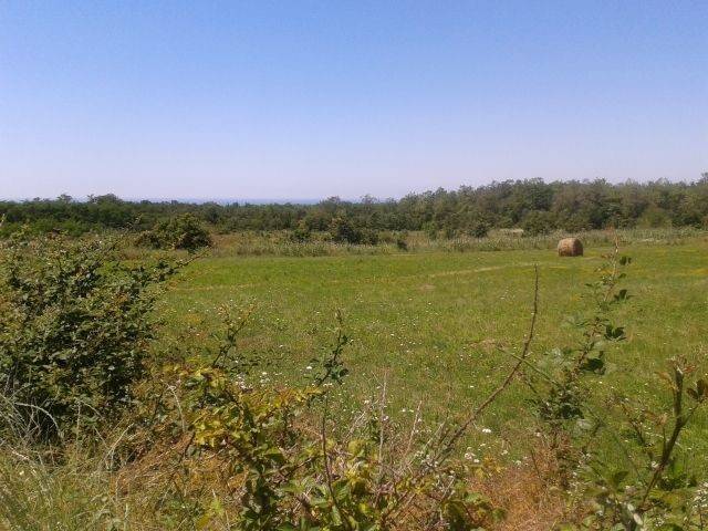 Land, Sale, Kaštelir-Labinci