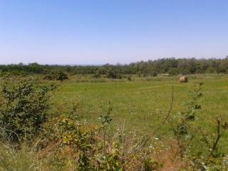 Land, Sale, Kaštelir-Labinci