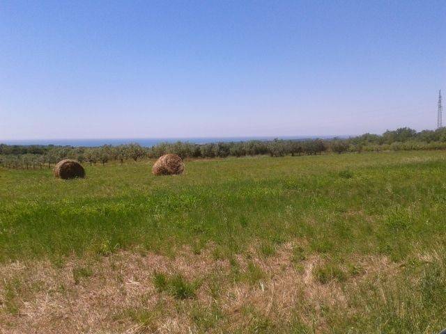 Land, Sale, Kaštelir-Labinci