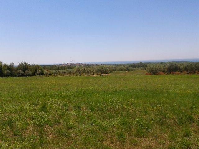 Land, Sale, Kaštelir-Labinci