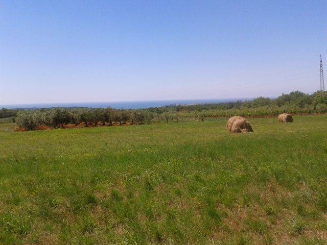 Land, Sale, Kaštelir-Labinci