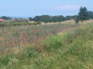 Plot for construction, Sale, Kaštelir-Labinci, Kaštelir