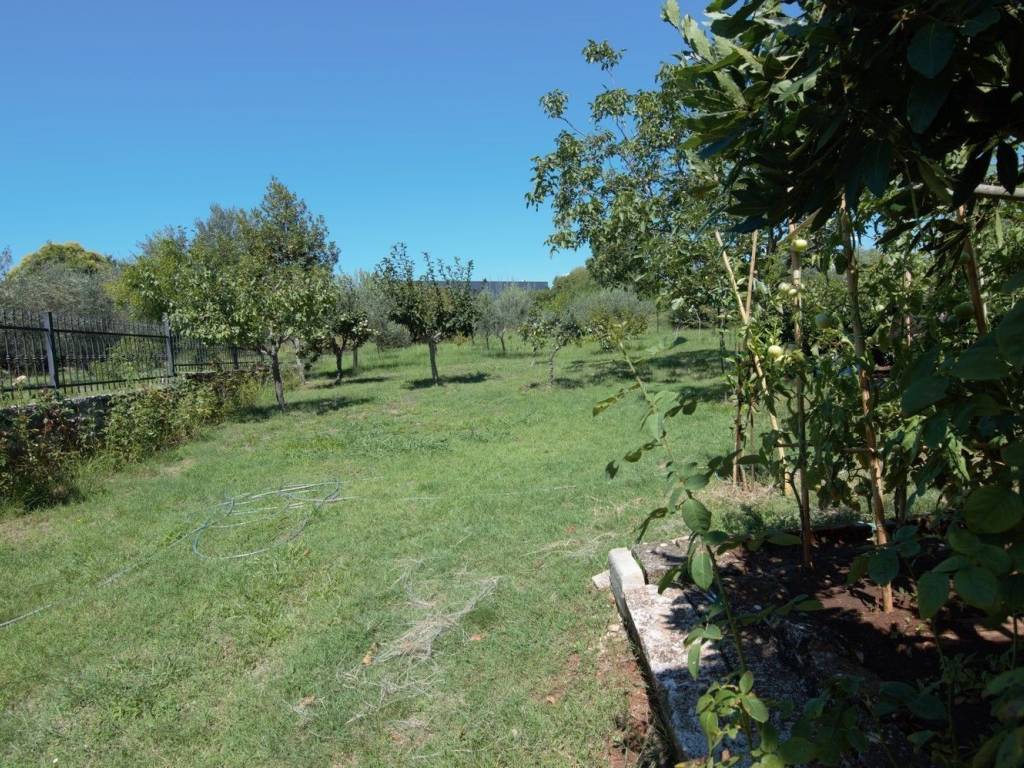 Semi-detached house, Sale, Tar-Vabriga, Vabriga