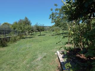 Semi-detached house, Sale, Tar-Vabriga, Vabriga
