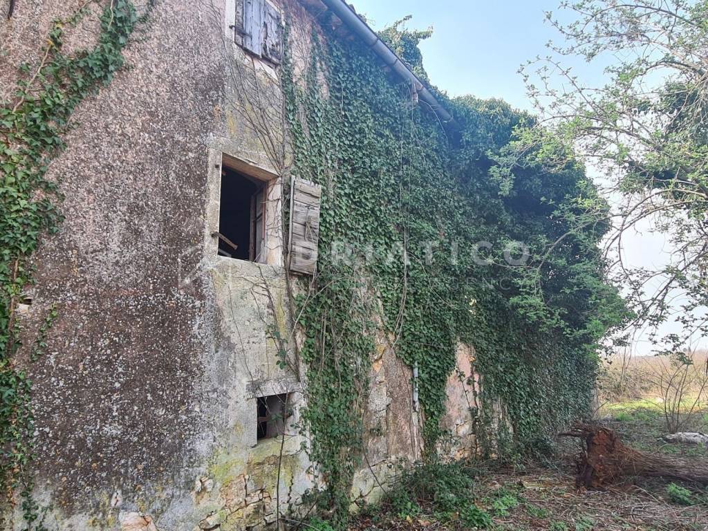 Stone house, Sale, Vižinada, Vižinada