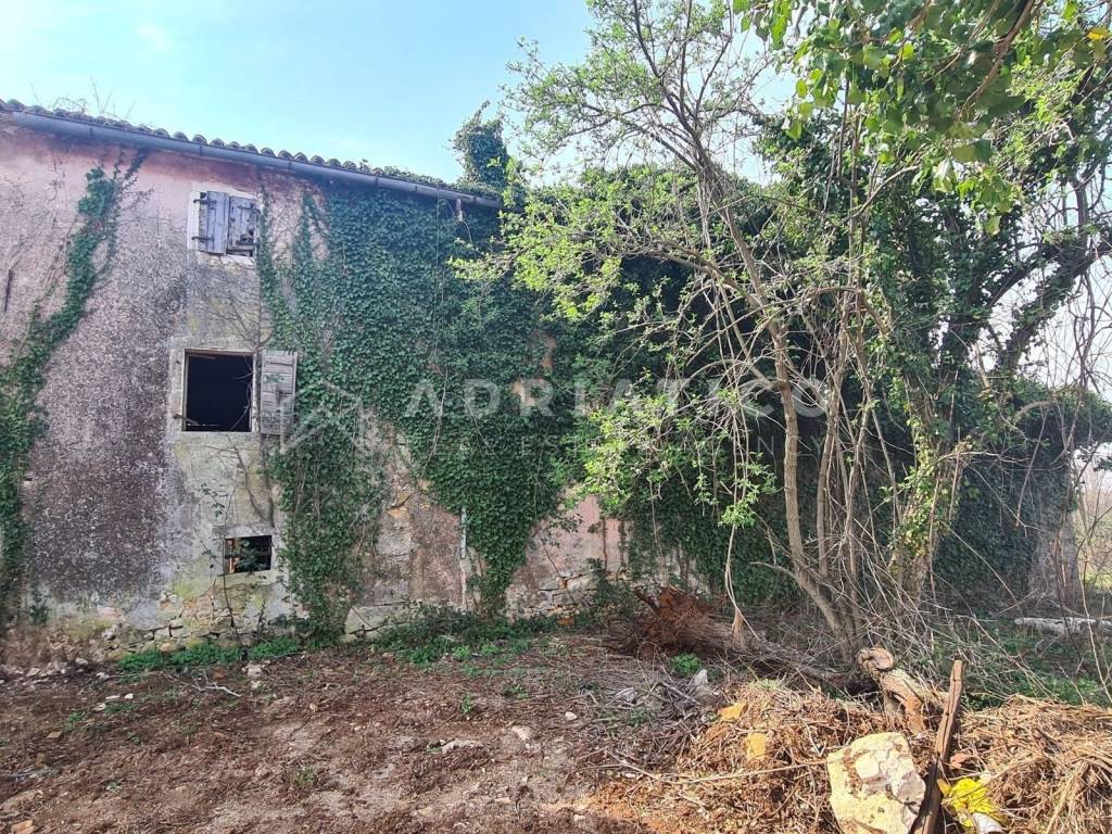 Stone house, Sale, Vižinada, Vižinada