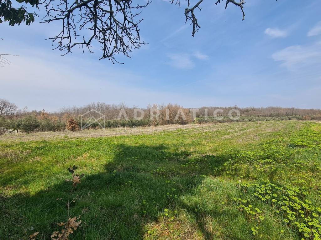 Stone house, Sale, Vižinada, Vižinada