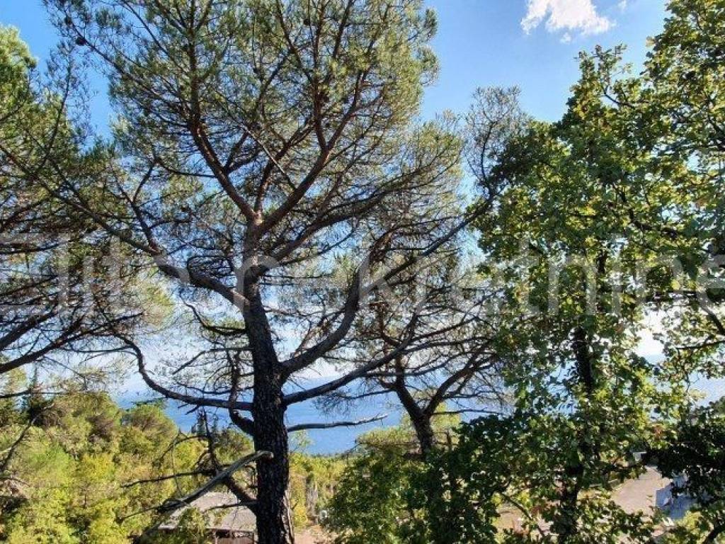 Plot for construction, Sale, Matulji, Pavlovac