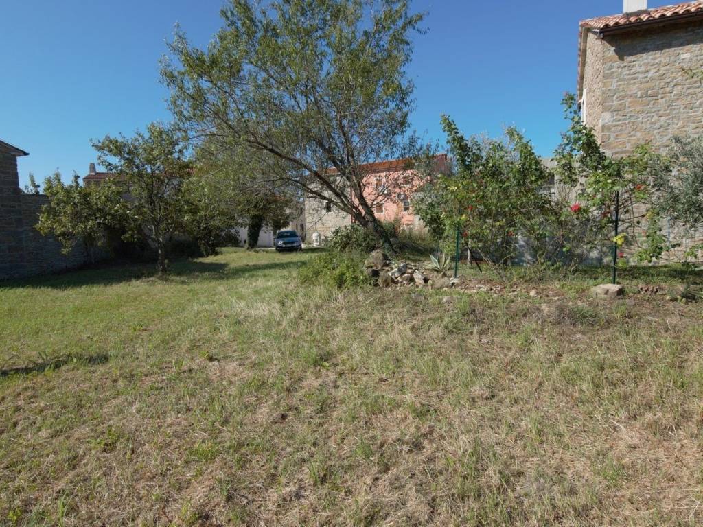Plot for construction, Sale, Buje, Krasica