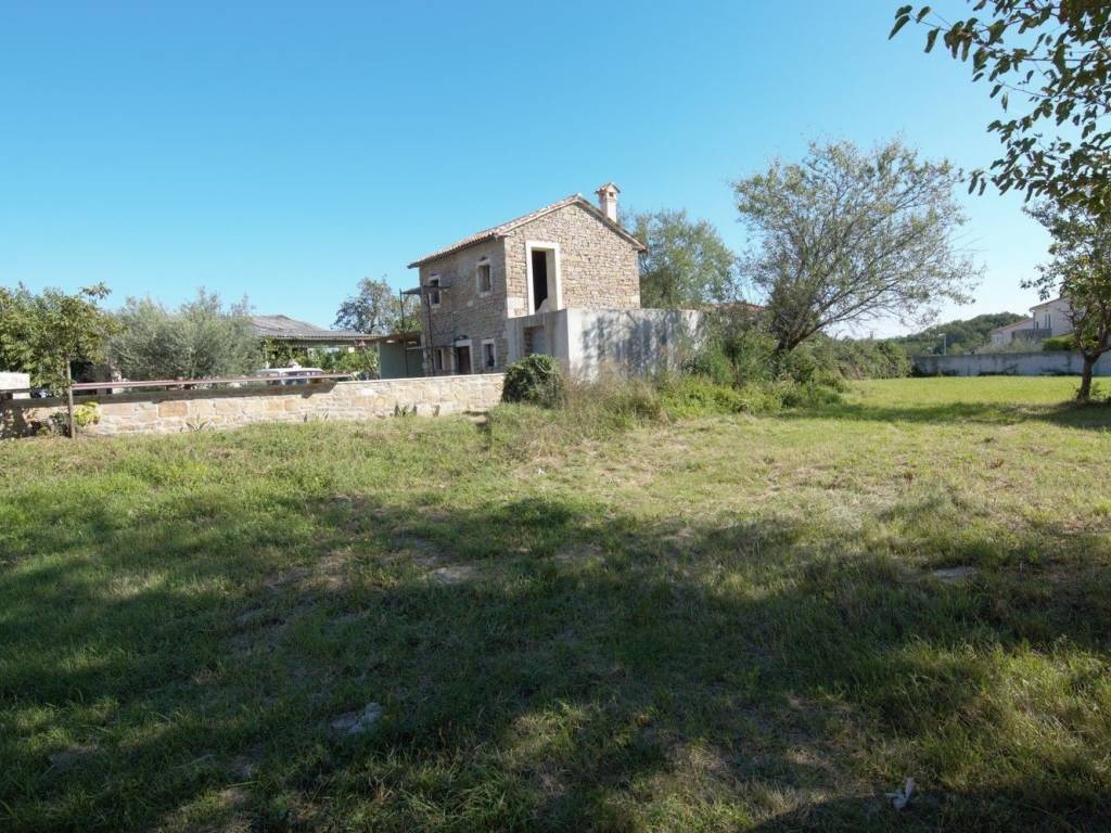 Plot for construction, Sale, Buje, Krasica