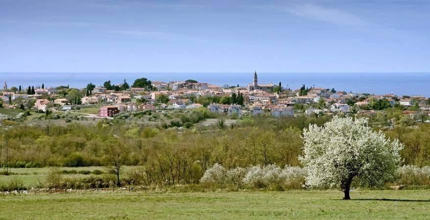 Plot for construction, Sale, Tar-Vabriga, Tar